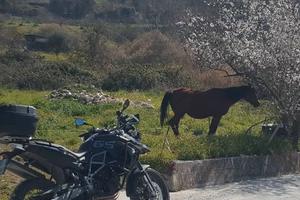 Moto Bmw f 800 gs