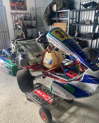 Go Kart 125, telaio Birel motore Rok