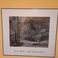 Poster ansel adams