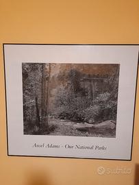 Poster ansel adams