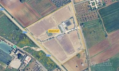 TER. AGRICOLO A NARDÒ