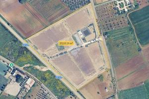 TER. AGRICOLO A NARDÒ