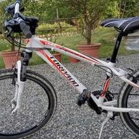 Torpado bici 605 MTB jaguar