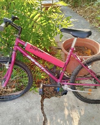 bicicletta Rocky bike , cambio Shimano 