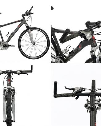 Bicicletta Carraro