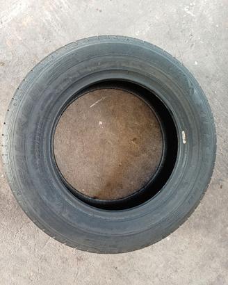 Gomme estive
