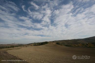 AG8 - Montalcino/San Quirico azienda agric