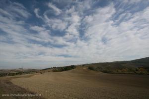 AG8 - Montalcino/San Quirico azienda agric