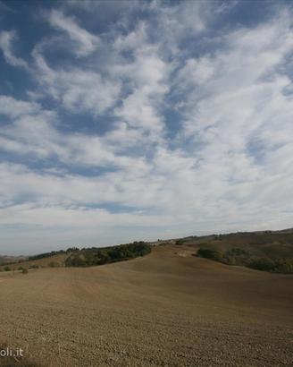 AG8 - Montalcino/San Quirico azienda agric