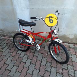 Bicicletta carnilli 