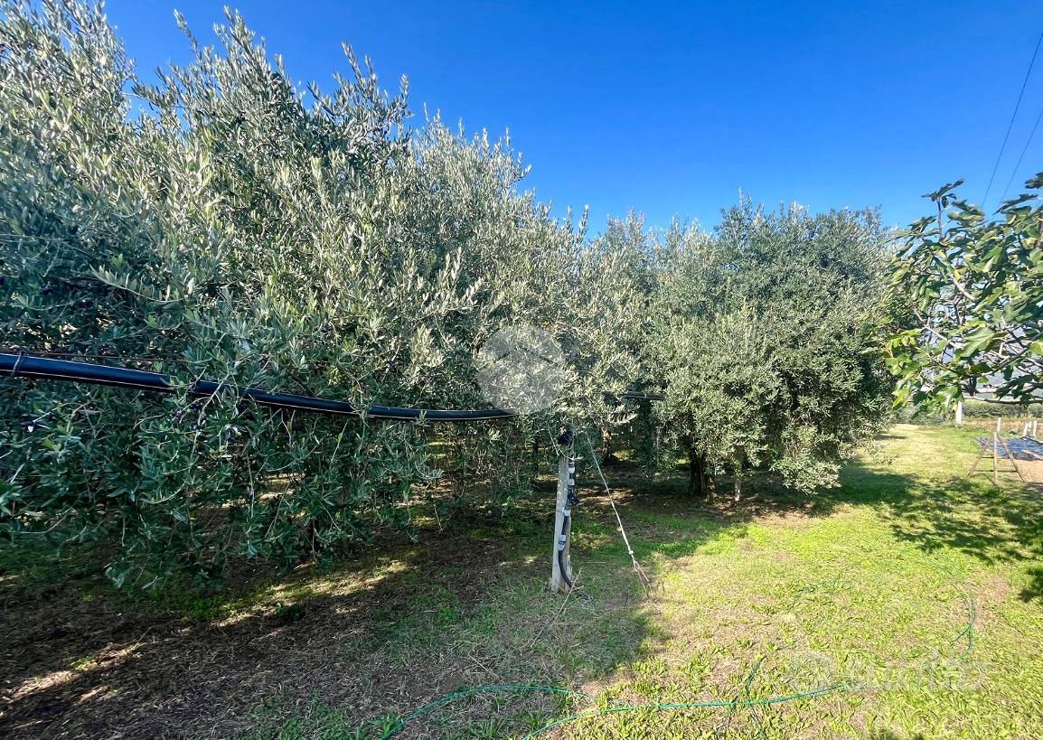 TER. AGRICOLO A RIVOLI VERONESE - Altro