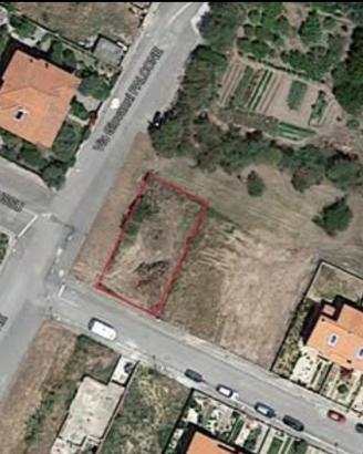 Terreno edificabile Zeddiani 330 mq