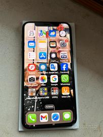 Iphone X molto ben tenuto.