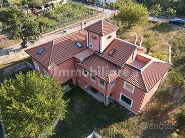 Villa singola con uliveto