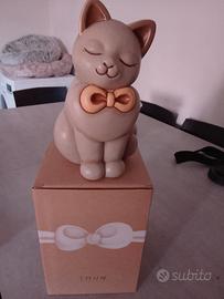 Thun gatto
