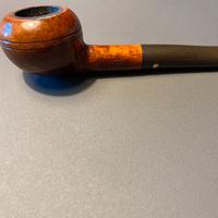 PIPA WESTMINSTER RRR