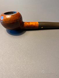 PIPA WESTMINSTER RRR