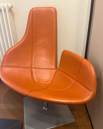 Poltrona Moroso da collezione modello Fjord