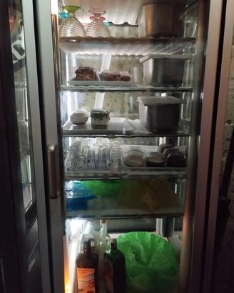 vetrina frigo e vetrina congelatore 