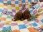 Immagine 18