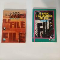 coppia di manuali di informatica vintage (anni '80