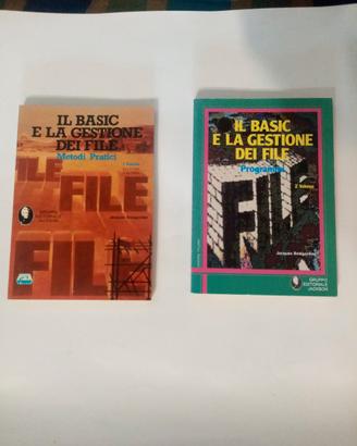 coppia di manuali di informatica vintage (anni '80
