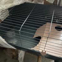 Gabbia per animali domestici