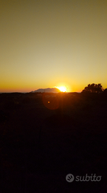 Terreno agricolo Favignana