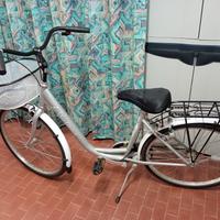 bicicletta DAYTONA donna