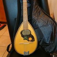 Mandolino di liuteria con custodia