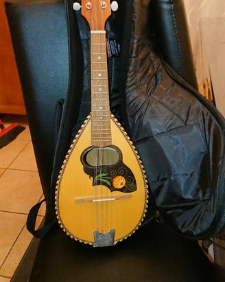 Mandolino di liuteria con custodia