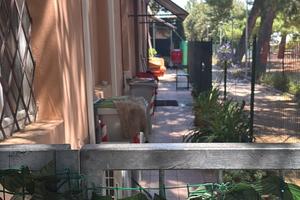 Ristorante pizzeria fast food