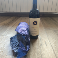 Bottiglia di Sassicaia 2021