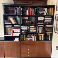 Libreria / mobile da ufficio