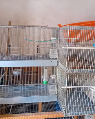 Gabbia per uccelli
