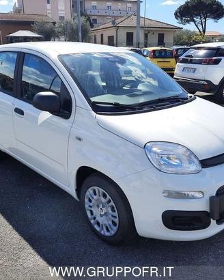 FIAT Pandina PANDA MY26 1.0 65CV HYBRID ICON
