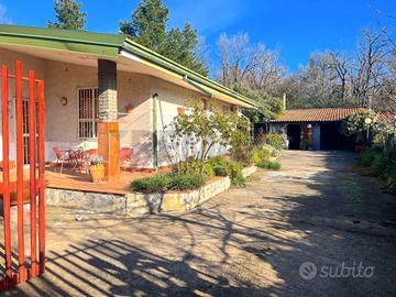 Villa o villino - Pedara