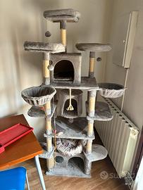 Tiragraffi gatto