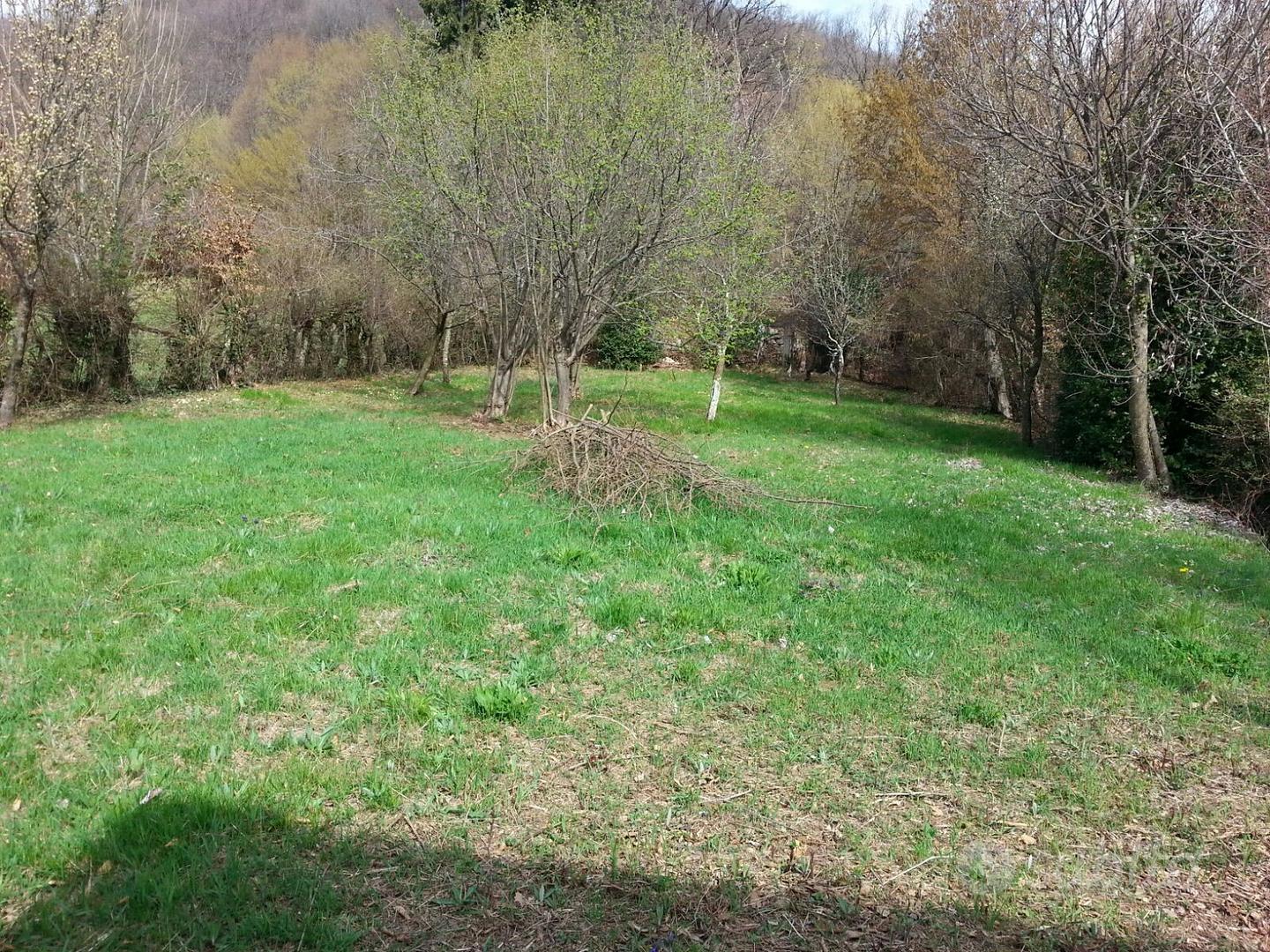Casa e terreno località Domaro - Vista 4