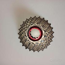 Pacco pignoni 9v 11-25 