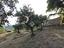 Immagine 14