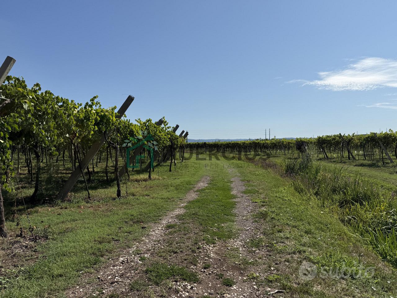 Terreno a San Bonifacio (VR) - Vista 3