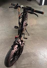 Bici elettrica