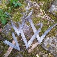 Tresse per gradi tedeschi DDR