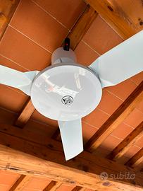 Pale da soffitto