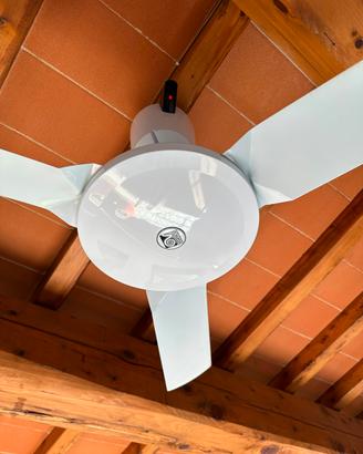 Pale da soffitto