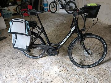 bicicletta a pedalata assistita 