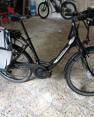 bicicletta a pedalata assistita 