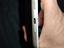 Immagine 6