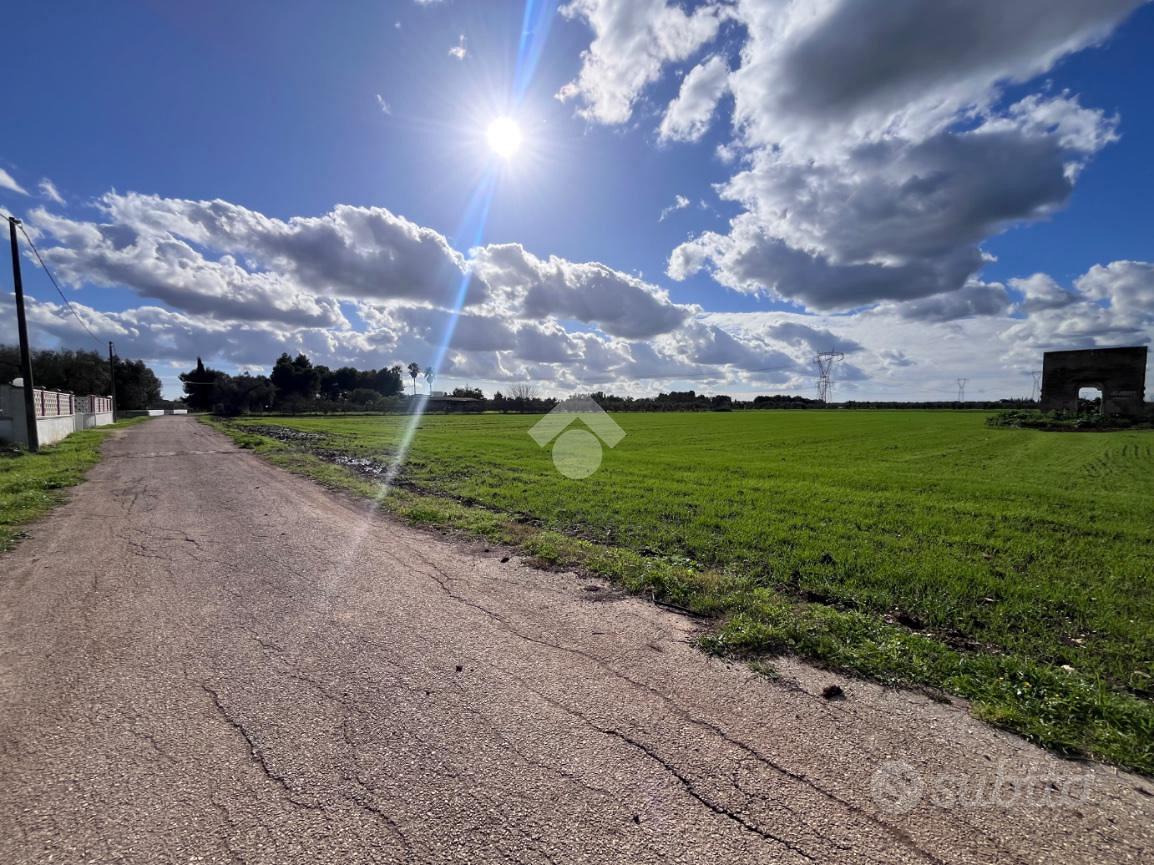 TER. AGRICOLO A MESAGNE - Vista 4